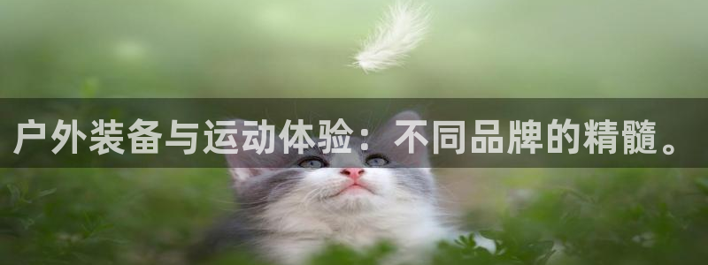 usdt官网下载app